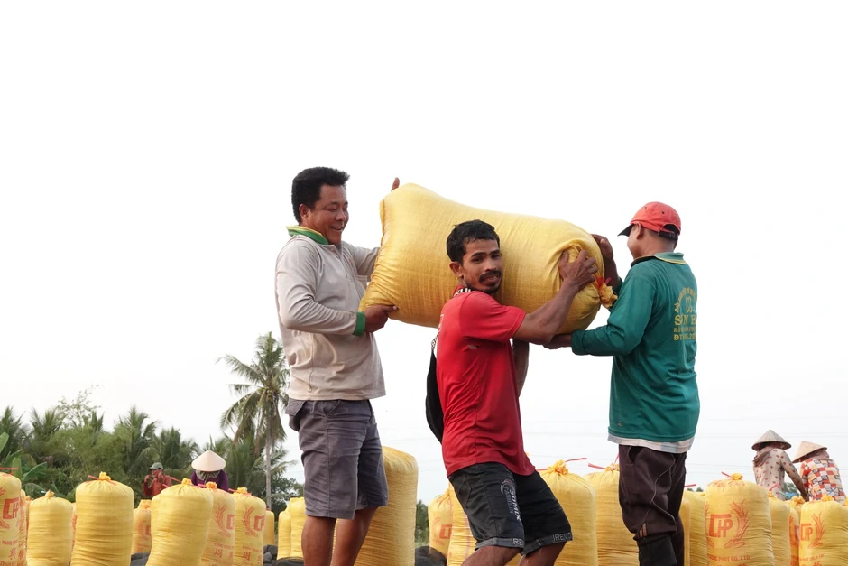 'Cởi trói' xuất khẩu gạo cần lộ trình? 'Cởi trói' xuất khẩu gạo cần lộ trình?