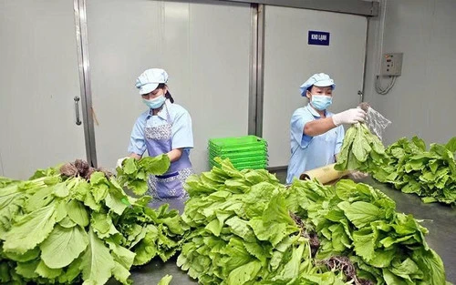 Con đường nông sản Việt Nam Con đường nông sản Việt Nam