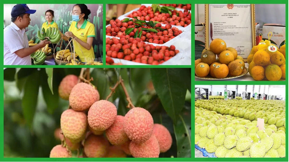 Con đường nông sản Việt Nam Con đường nông sản Việt Nam