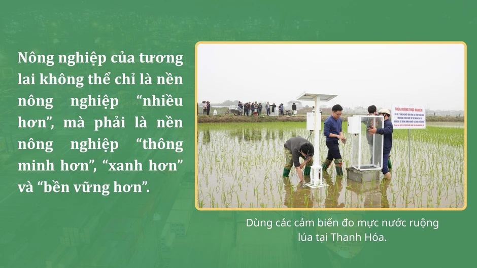 Con đường nông sản Việt Nam Con đường nông sản Việt Nam
