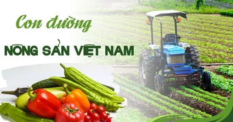 Con đường nông sản Việt Nam