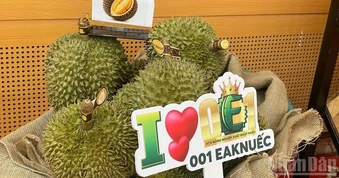 Công bố Lễ hội Sầu riêng Đắk Lắk