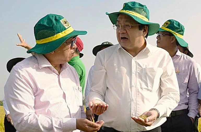 Công nghệ góp phần nâng cao chuỗi giá trị 1 triệu ha lúa phát thải thấp Công nghệ góp phần nâng cao chuỗi giá trị 1 triệu ha lúa phát thải thấp