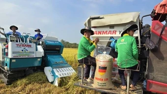 Công nghệ góp phần nâng cao chuỗi giá trị 1 triệu ha lúa phát thải thấp