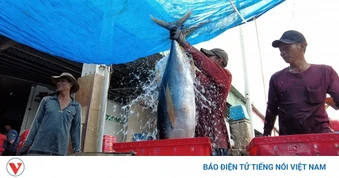 Công tác chống khai thác IUU đã có nhiều chuyển biến tích cực