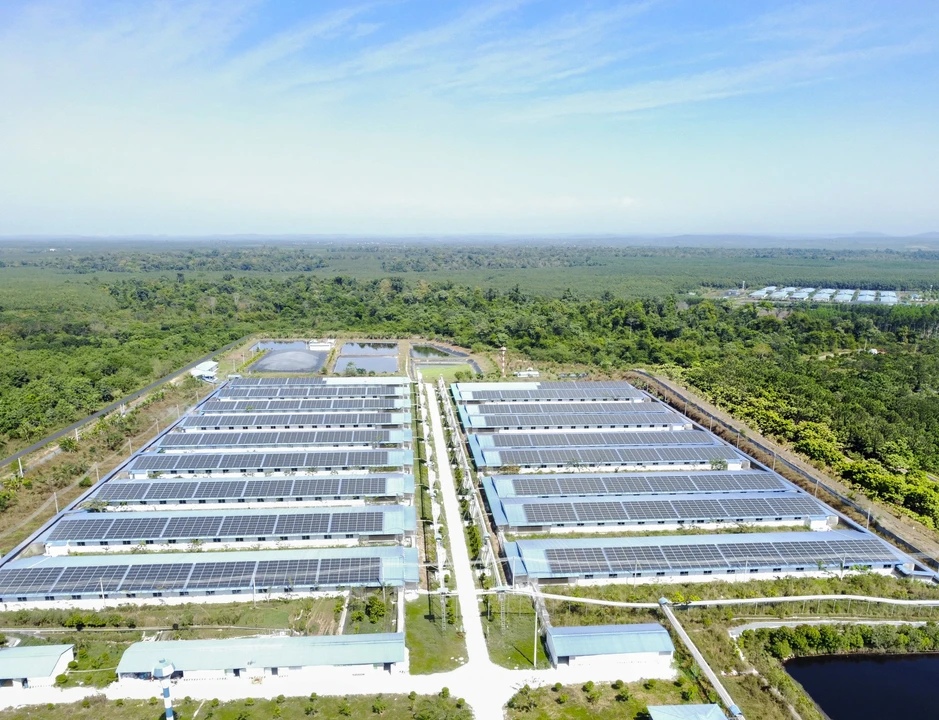 C.P. Việt Nam khởi động loạt chương trình AI xuyên suốt chuỗi nông nghiệp - thực phẩm