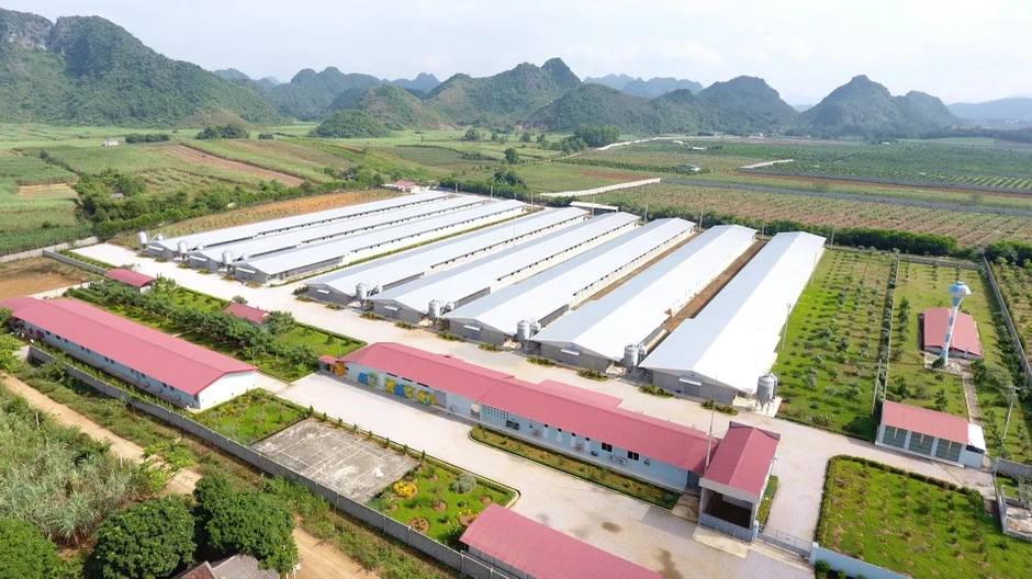 C.P. Việt Nam và FPT thúc đẩy chuyển đổi AI phát triển nông nghiệp thông minh