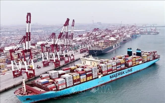 Cước vận chuyển container rục rịch tăng