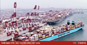 Cước vận chuyển container rục rịch tăng