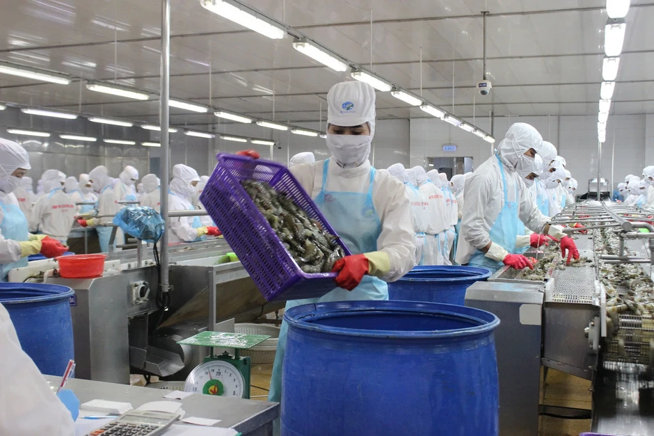Cước vận tải biển cao nhất 2 năm, doanh nghiệp thủy sản lo trễ đơn hàng Cước vận tải biển cao nhất 2 năm, doanh nghiệp thủy sản lo trễ đơn hàng