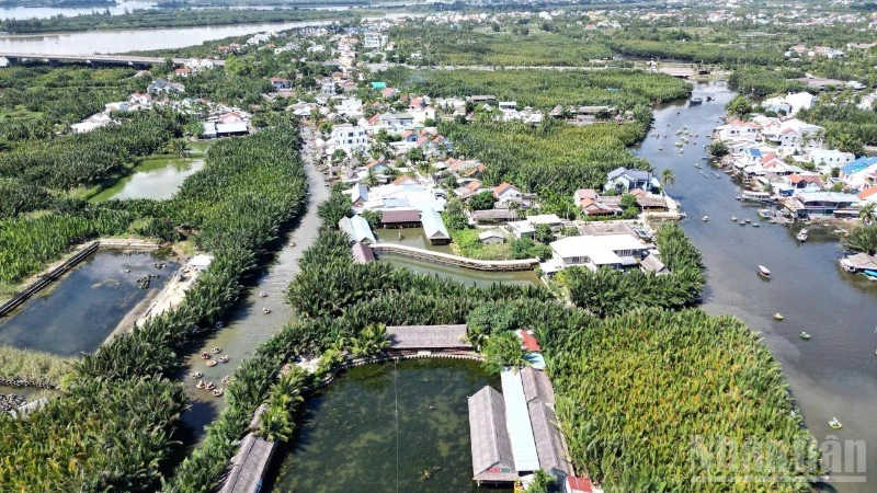 Đà Nẵng đẩy mạnh chuyển đổi xanh, phát triển bền vững Đà Nẵng đẩy mạnh chuyển đổi xanh, phát triển bền vững