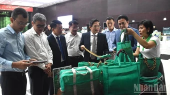 Đà Nẵng đẩy mạnh chuyển đổi xanh, phát triển bền vững