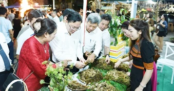 Đà Nẵng: Đưa “quốc bảo” Sâm Ngọc Linh xuống phố