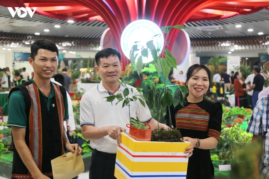 Đà Nẵng khai mạc Lễ hội Sâm Ngọc Linh và Dược liệu quốc tế 2026 Đà Nẵng khai mạc Lễ hội Sâm Ngọc Linh và Dược liệu quốc tế 2026