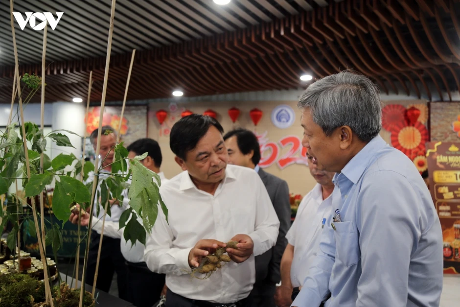Đà Nẵng khai mạc Lễ hội Sâm Ngọc Linh và Dược liệu quốc tế 2026 Đà Nẵng khai mạc Lễ hội Sâm Ngọc Linh và Dược liệu quốc tế 2026