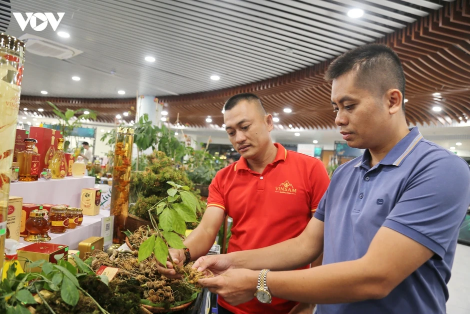 Đà Nẵng khai mạc Lễ hội Sâm Ngọc Linh và Dược liệu quốc tế 2026 Đà Nẵng khai mạc Lễ hội Sâm Ngọc Linh và Dược liệu quốc tế 2026