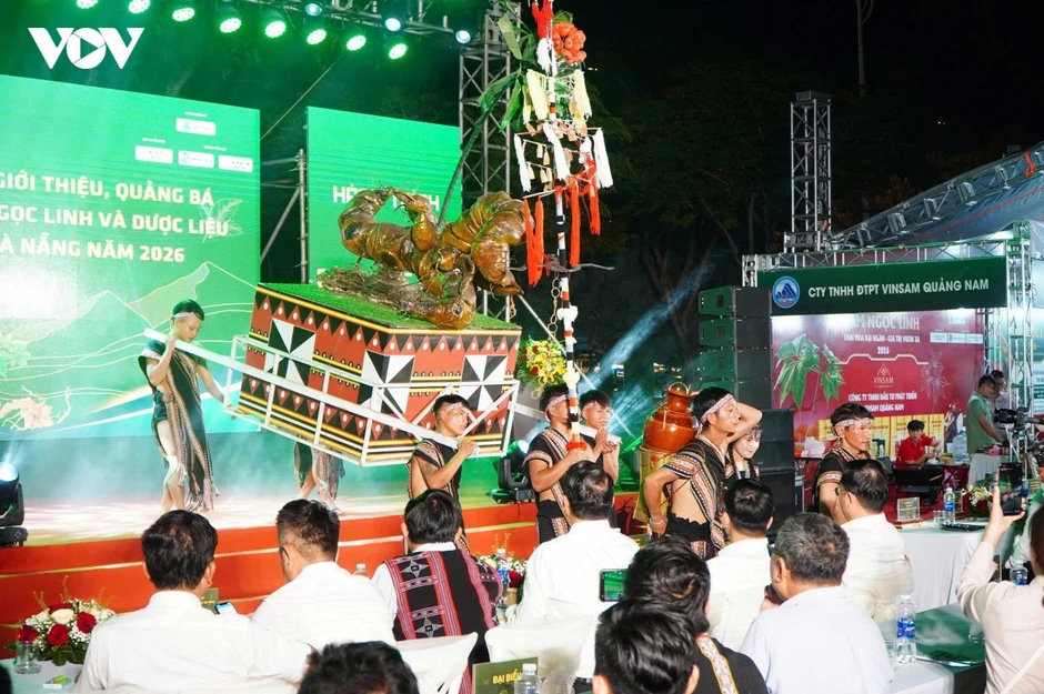Đà Nẵng lần đầu dựng không gian trưng bày Sâm Ngọc Linh cạnh Chợ đêm Sơn Trà Đà Nẵng lần đầu dựng không gian trưng bày Sâm Ngọc Linh cạnh Chợ đêm Sơn Trà