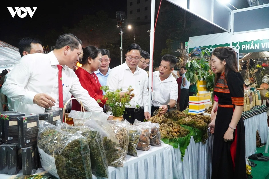 Đà Nẵng lần đầu dựng không gian trưng bày Sâm Ngọc Linh cạnh Chợ đêm Sơn Trà Đà Nẵng lần đầu dựng không gian trưng bày Sâm Ngọc Linh cạnh Chợ đêm Sơn Trà