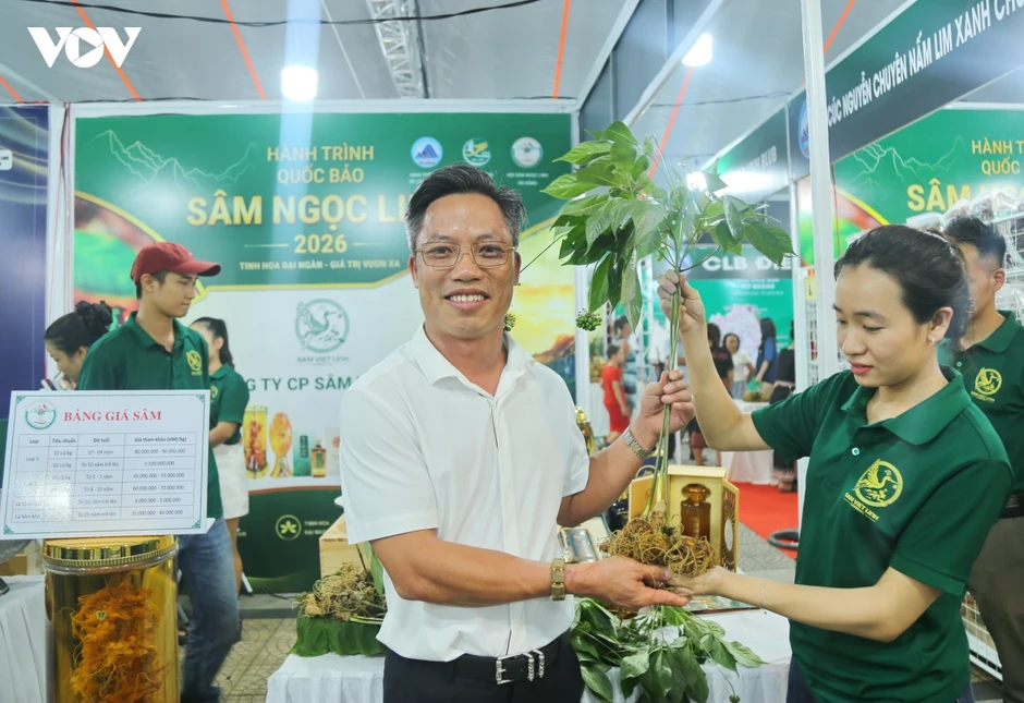Đà Nẵng lần đầu dựng không gian trưng bày Sâm Ngọc Linh cạnh Chợ đêm Sơn Trà Đà Nẵng lần đầu dựng không gian trưng bày Sâm Ngọc Linh cạnh Chợ đêm Sơn Trà