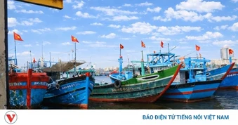 Đà Nẵng tái định hình hạ tầng nghề cá trong không gian phát triển mới