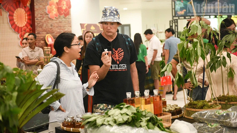 Đà Nẵng tạo động lực phát triển ngành dược liệu Đà Nẵng tạo động lực phát triển ngành dược liệu