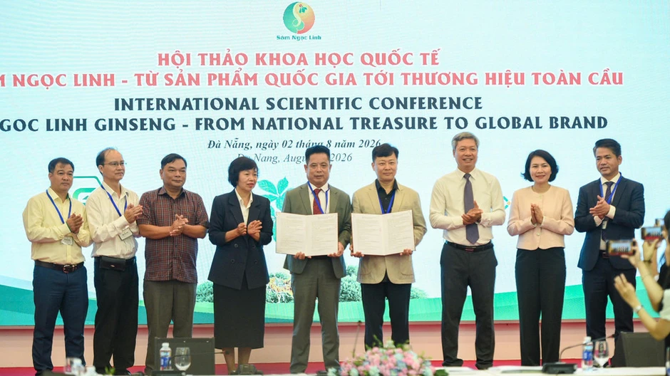 Đà Nẵng tạo động lực phát triển ngành dược liệu Đà Nẵng tạo động lực phát triển ngành dược liệu