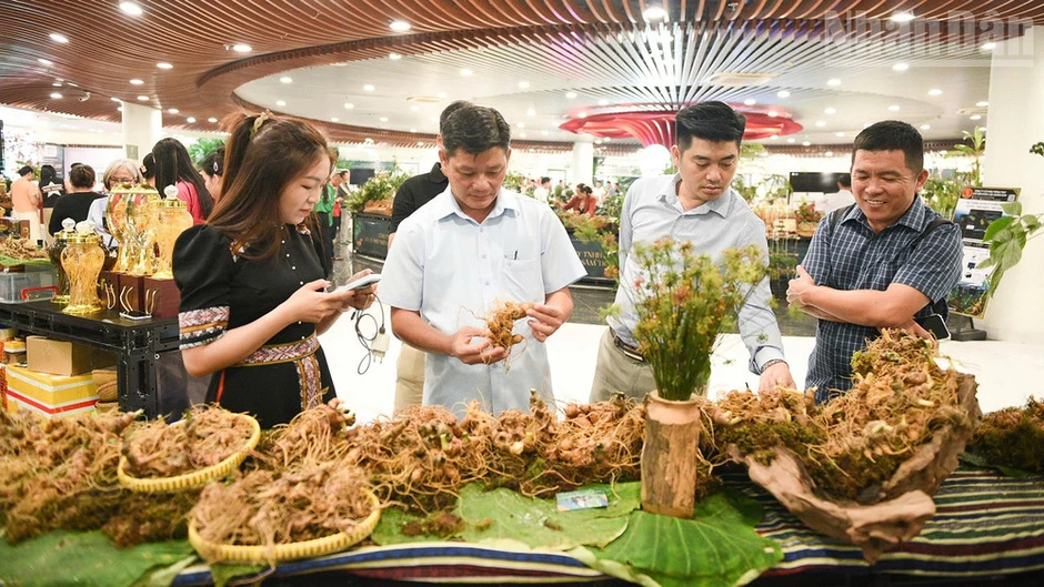 Đà Nẵng tạo động lực phát triển ngành dược liệu Đà Nẵng tạo động lực phát triển ngành dược liệu