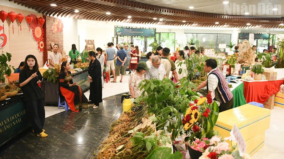 Đà Nẵng tạo động lực phát triển ngành dược liệu Đà Nẵng tạo động lực phát triển ngành dược liệu