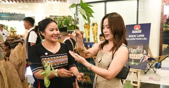 Đà Nẵng tạo động lực phát triển ngành dược liệu
