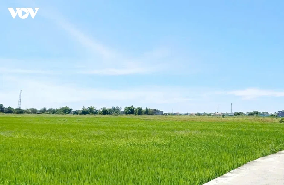 Đà Nẵng tháo gỡ vướng mắc về đất đai tại dự án khu đô thị Phong Nam - Hòa Châu Đà Nẵng tháo gỡ vướng mắc về đất đai tại dự án khu đô thị Phong Nam - Hòa Châu