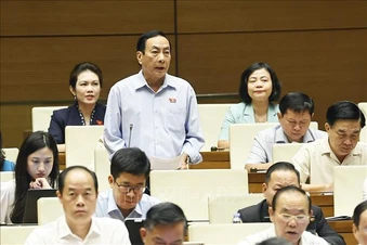 Đại biểu Quốc hội đề xuất đưa kinh doanh kim cương, đá quý vào ngành nghề có điều kiện