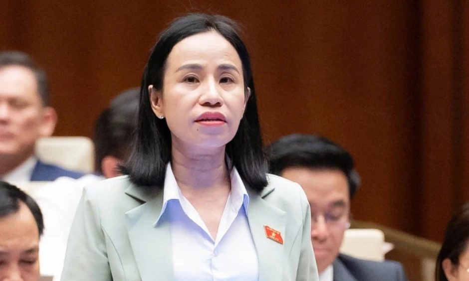 Đại biểu Quốc hội: Nên tăng thuế với xe điện từng bước để tránh 'cú sốc' thị trường Đại biểu Quốc hội: Nên tăng thuế với xe điện từng bước để tránh 'cú sốc' thị trường