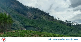 Đắk Lắk chuyển đổi thêm hơn 2 ha rừng hành lang cao tốc Khánh Hòa - Buôn Ma Thuột