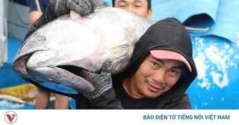 Đắk Lắk định hình trụ cột kinh tế biển: Từ gỡ IUU đến logistics, du lịch
