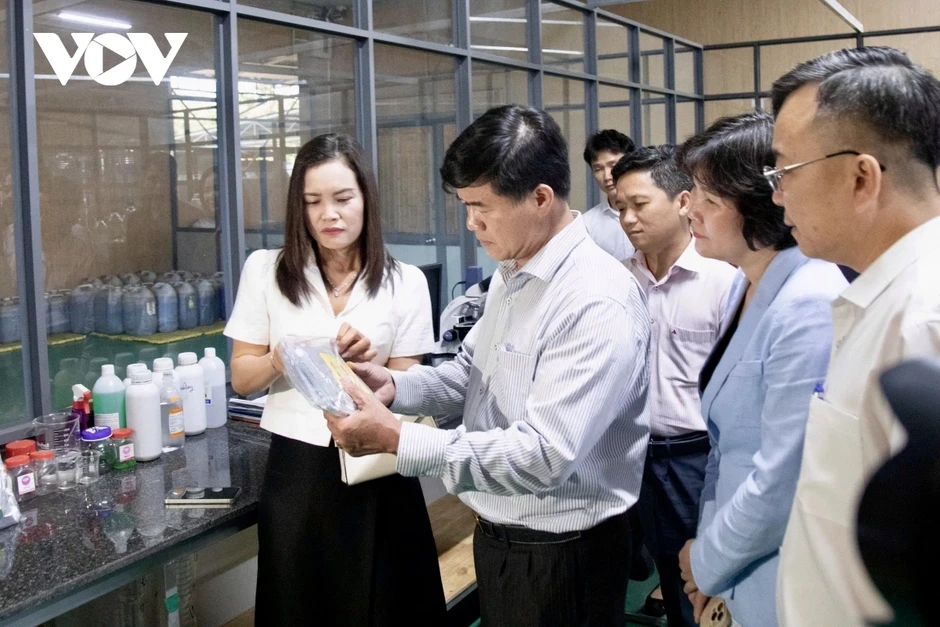 Đắk Lắk khởi động mô hình kinh tế tuần hoàn nông nghiệp tiên phong Đắk Lắk khởi động mô hình kinh tế tuần hoàn nông nghiệp tiên phong
