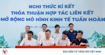 Đắk Lắk khởi động mô hình kinh tế tuần hoàn nông nghiệp tiên phong