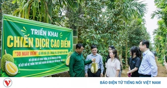 Đắk Lắk ra mắt Bản đồ số nông sản, phát động chiến dịch số hóa dữ liệu