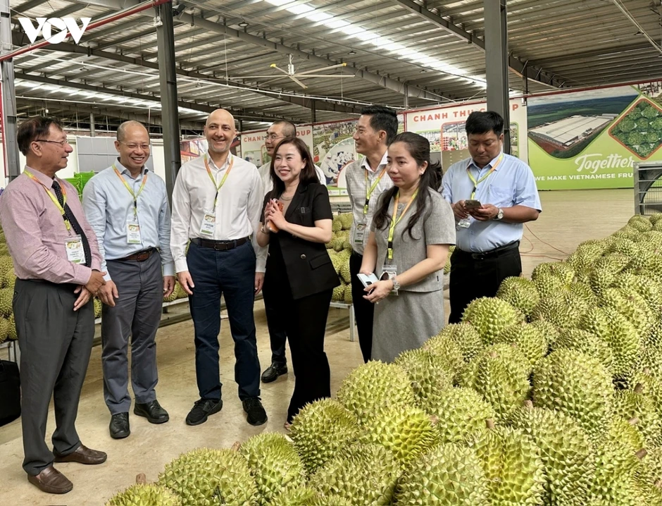 Đắk Lắk siết quản lý, kiến nghị gỡ vướng cho xuất khẩu sầu riêng Đắk Lắk siết quản lý, kiến nghị gỡ vướng cho xuất khẩu sầu riêng