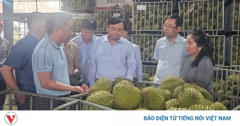 Đắk Lắk siết quản lý, kiến nghị gỡ vướng cho xuất khẩu sầu riêng