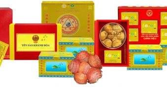 Đảng bộ Công ty Yến sào Khánh Hòa: Quyết liệt bảo tồn đàn chim yến, ngăn chặn săn bắt trái phép