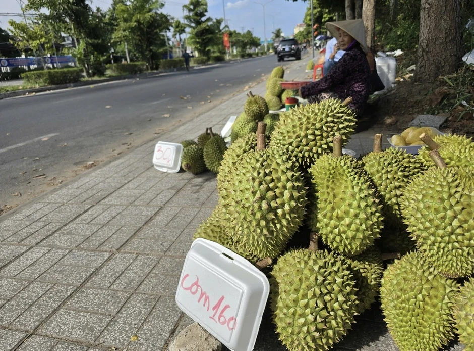 Đằng sau việc sầu riêng tràn ra lề đường Đằng sau việc sầu riêng tràn ra lề đường