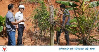 Đảng viên ở miền núi Đà Nẵng đi đầu trong phát triển kinh tế