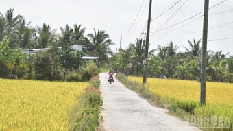 Đánh thức kinh tế tư nhân từ mảnh đất nông thôn