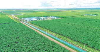 Dạo trên đồng lớn