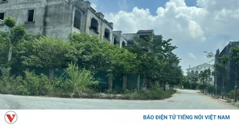 Đất nền lao dốc, chung cư hạ nhiệt, có nơi giảm khoảng 50%