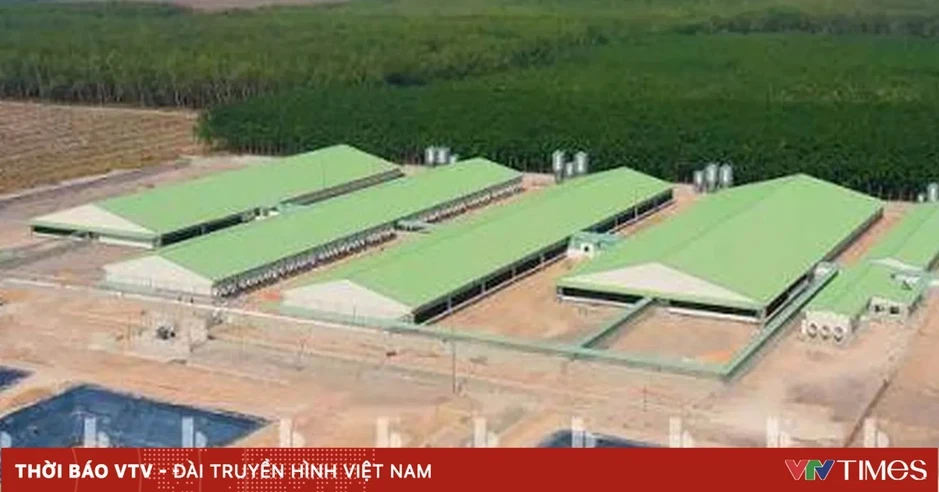 Đất nông nghiệp chưa sổ đỏ có được xây dựng trang trại?