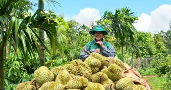 Dấu ấn Phú Mỹ tại Lễ hội Sầu riêng Đắk Lắk 2026