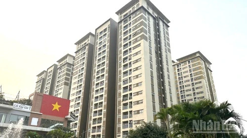 Đấu giá đất giảm nhiệt khi thị trường hướng tới giá trị thực Đấu giá đất giảm nhiệt khi thị trường hướng tới giá trị thực