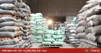 Đấu thầu mua nhập kho dự trữ quốc gia 300.000 tấn gạo