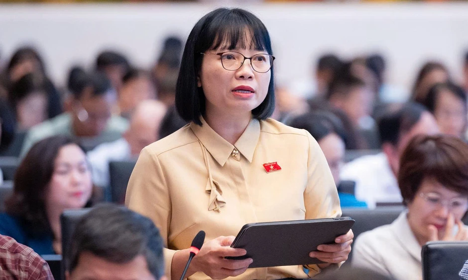 ĐBQH: Giá điện không thể là cơ chế chuyển mọi rủi ro, chi phí sang người sử dụng